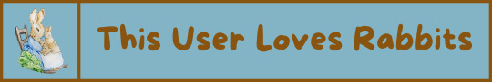 This User Loves Rabbits